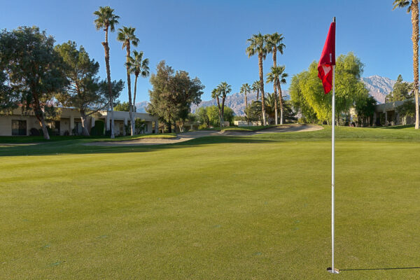 December 14, 2011

On the course at Desert Princess Country Club early this morning - Cathedral City, CA   

095/365